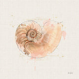 Shell Collector II by Katie Pertiet. SKU 29927a. Archival Giclee Fine art print for wall decor.