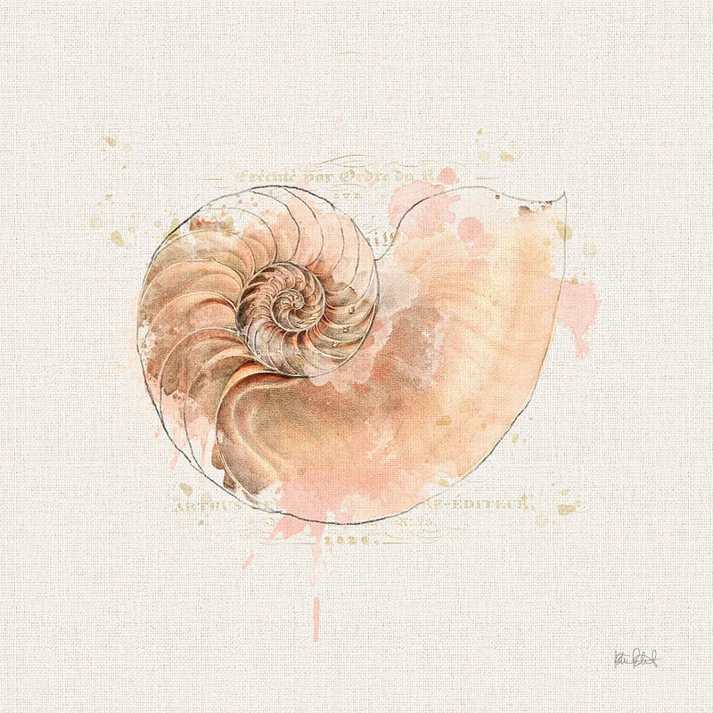 Shell Collector II by Katie Pertiet. SKU 29927a. Archival Giclee Fine art print for wall decor.