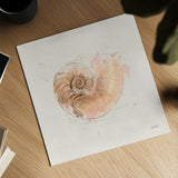 Shell Collector II by Katie Pertiet. Shown as a detailed flat fine art print, highlighting archival giclee quality. Available as an archival giclee rolled canvas, fine art paper, or poster print. SKU 29927a.