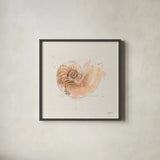 Shell Collector II by Katie Pertiet. Shown in a sleek black glass frame for a contemporary gallery look. Available as an archival giclee rolled canvas, fine art paper, or poster print. SKU 29927a.