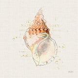 Shell Collector III by Katie Pertiet. SKU 29928a. Archival Giclee Fine art print for wall decor.