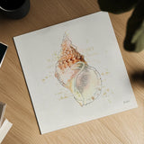 Shell Collector III by Katie Pertiet. Shown as a detailed flat fine art print, highlighting archival giclee quality. Available as an archival giclee rolled canvas, fine art paper, or poster print. SKU 29928a.