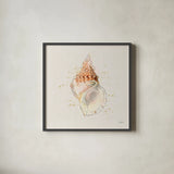 Shell Collector III by Katie Pertiet. Shown in a sleek black glass frame for a contemporary gallery look. Available as an archival giclee rolled canvas, fine art paper, or poster print. SKU 29928a.