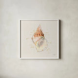 Shell Collector III by Katie Pertiet. Shown in a crisp white glass frame for a clean and minimalist style. Available as an archival giclee rolled canvas, fine art paper, or poster print. SKU 29928a.