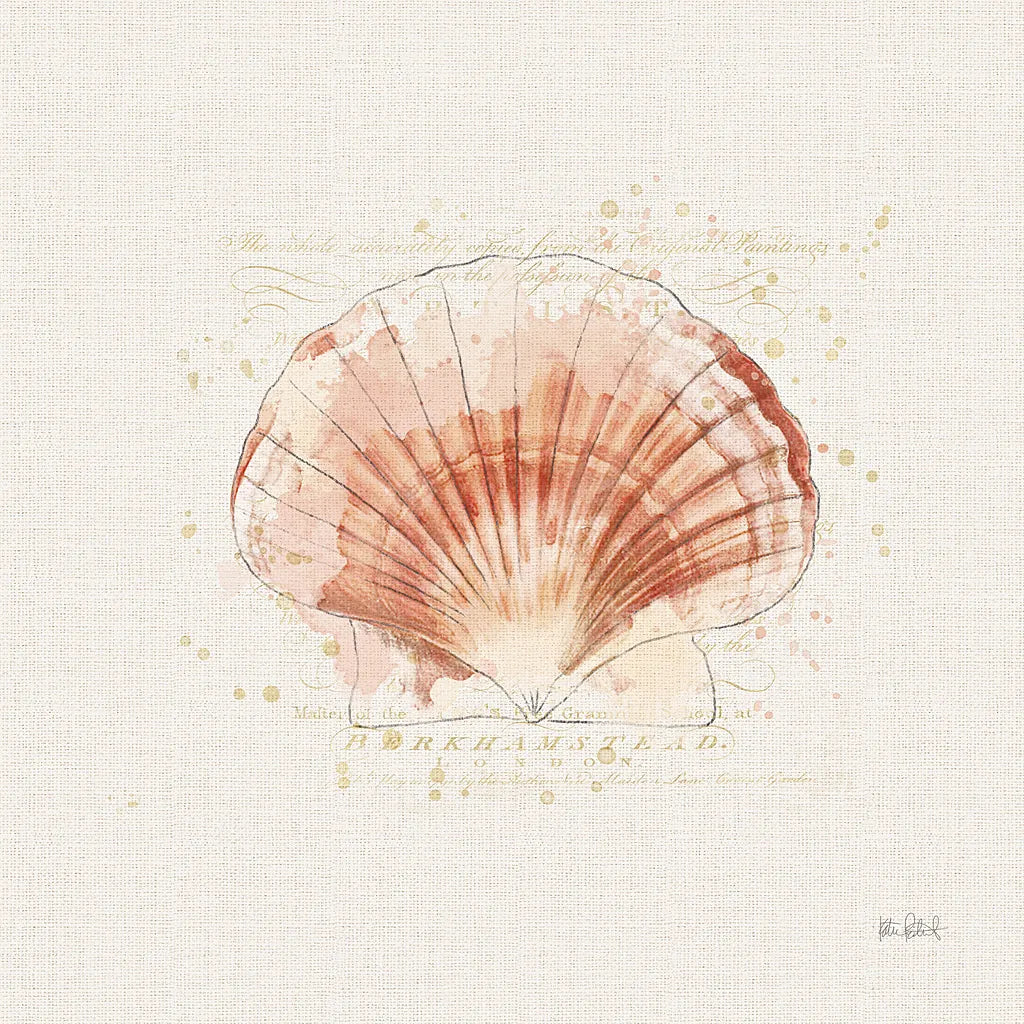 Shell Collector IV by Katie Pertiet. SKU 29929a. Archival Giclee Fine art print for wall decor.