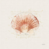 Shell Collector IV by Katie Pertiet. SKU 29929a. Archival Giclee Fine art print for wall decor.