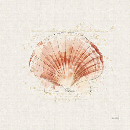Shell Collector IV by Katie Pertiet. SKU 29929a. Archival Giclee Fine art print for wall decor.