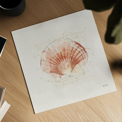 Shell Collector IV by Katie Pertiet. Shown as a detailed flat fine art print, highlighting archival giclee quality. Available as an archival giclee rolled canvas, fine art paper, or poster print. SKU 29929a.