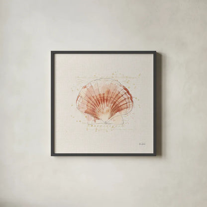 Shell Collector IV by Katie Pertiet. Shown in a sleek black glass frame for a contemporary gallery look. Available as an archival giclee rolled canvas, fine art paper, or poster print. SKU 29929a.