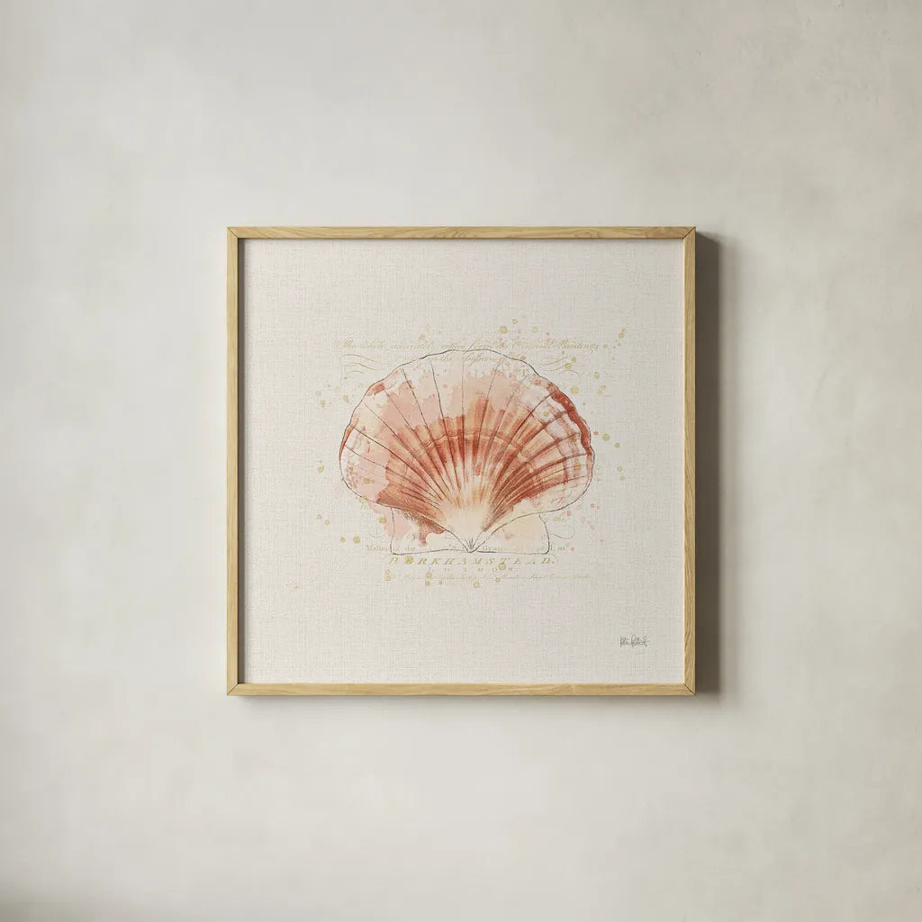 Shell Collector IV by Katie Pertiet. Shown in a natural wood glass frame for a timeless modern aesthetic. Available as an archival giclee rolled canvas, fine art paper, or poster print. SKU 29929a.
