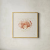 Shell Collector IV by Katie Pertiet. Shown in a natural wood glass frame for a timeless modern aesthetic. Available as an archival giclee rolled canvas, fine art paper, or poster print. SKU 29929a.