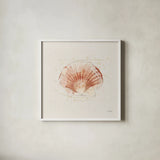 Shell Collector IV by Katie Pertiet. Shown in a crisp white glass frame for a clean and minimalist style. Available as an archival giclee rolled canvas, fine art paper, or poster print. SKU 29929a.