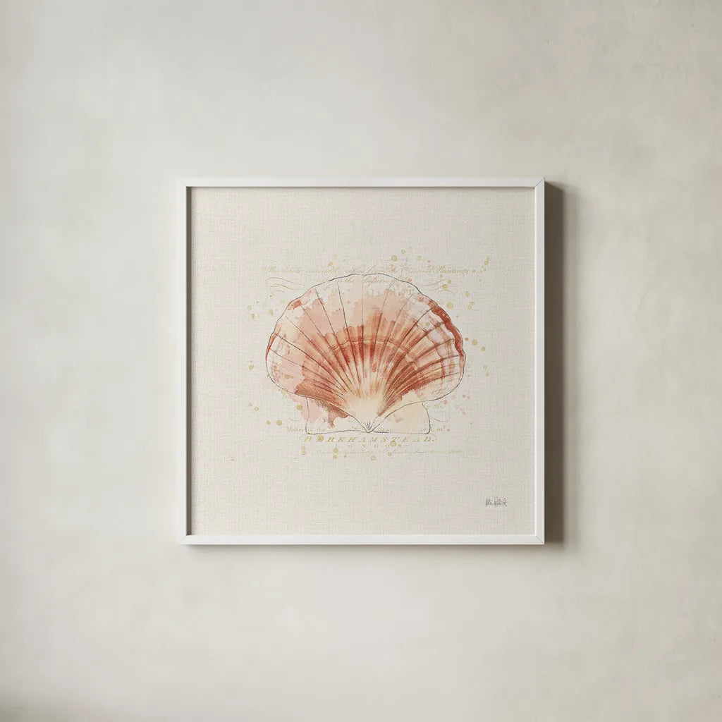 Shell Collector IV by Katie Pertiet. Shown in a crisp white glass frame for a clean and minimalist style. Available as an archival giclee rolled canvas, fine art paper, or poster print. SKU 29929a.