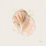Shell Collector V by Katie Pertiet. SKU 29930a. Archival Giclee Fine art print for wall decor.