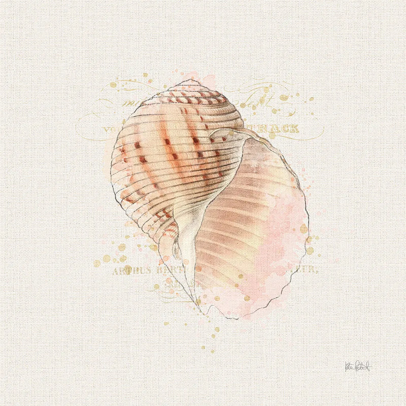Shell Collector V by Katie Pertiet. SKU 29930a. Archival Giclee Fine art print for wall decor.