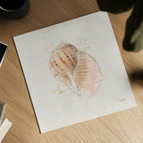 Shell Collector V by Katie Pertiet. Shown as a detailed flat fine art print, highlighting archival giclee quality. Available as an archival giclee rolled canvas, fine art paper, or poster print. SKU 29930a.