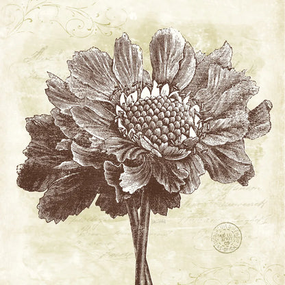 Spa Botanical I by Katie Pertiet. SKU 12923a. Archival Giclee Fine art print for wall decor.