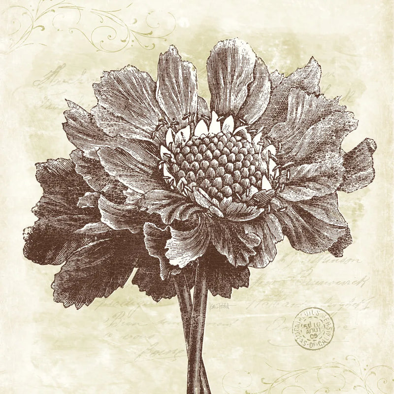 Spa Botanical I by Katie Pertiet. SKU 12923a. Archival Giclee Fine art print for wall decor.