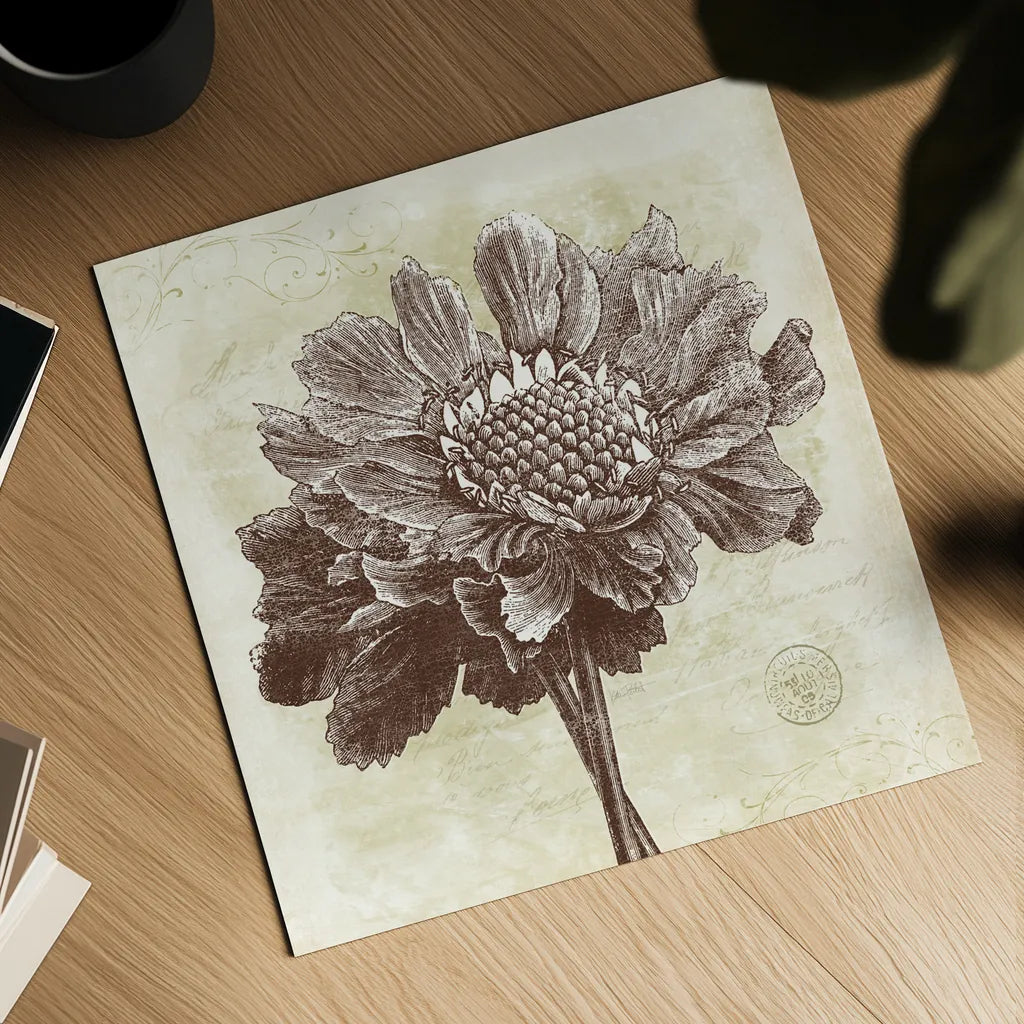 Spa Botanical I by Katie Pertiet. Shown as a detailed flat fine art print, highlighting archival giclee quality. Available as an archival giclee rolled canvas, fine art paper, or poster print. SKU 12923a.