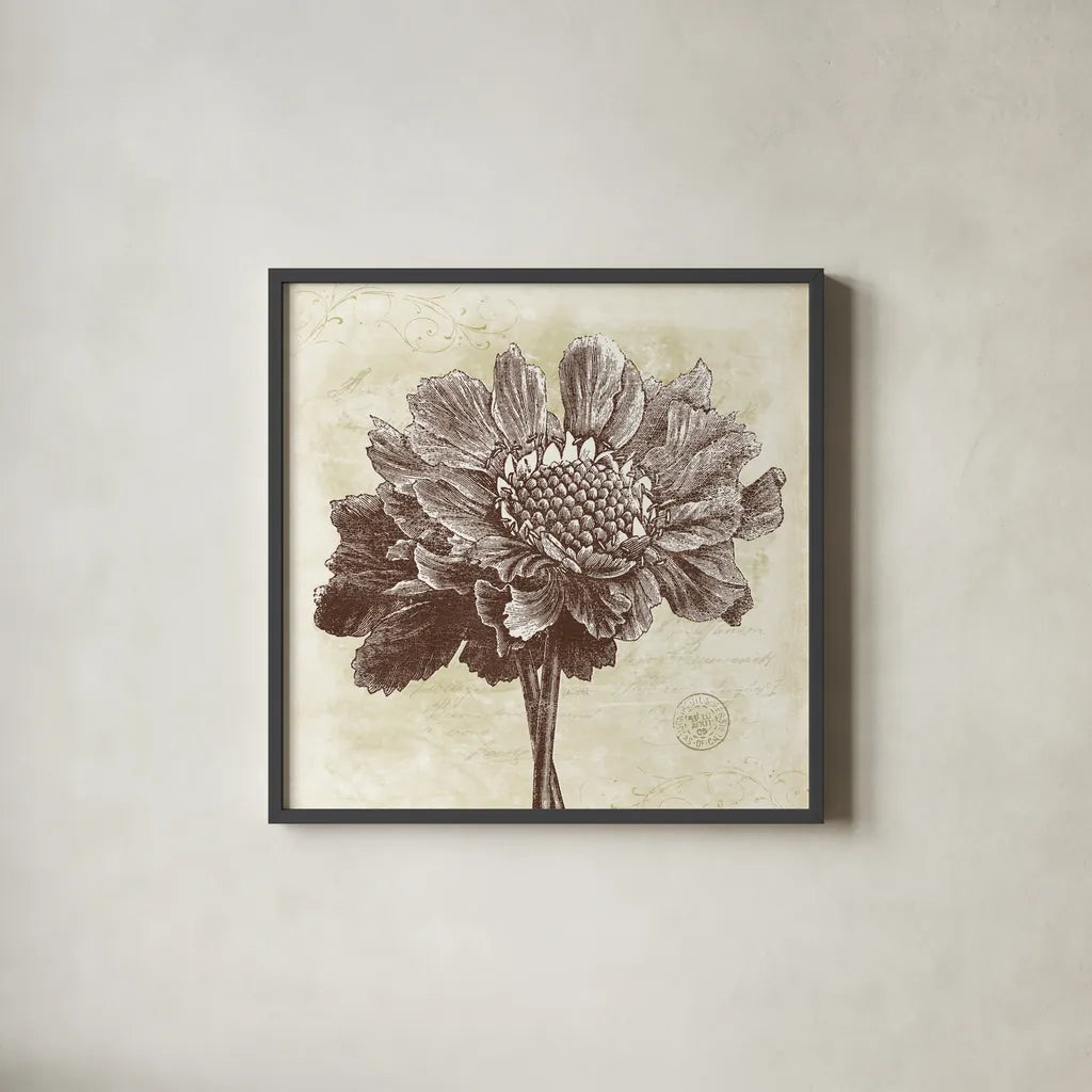 Spa Botanical I by Katie Pertiet. Shown in a sleek black glass frame for a contemporary gallery look. Available as an archival giclee rolled canvas, fine art paper, or poster print. SKU 12923a.