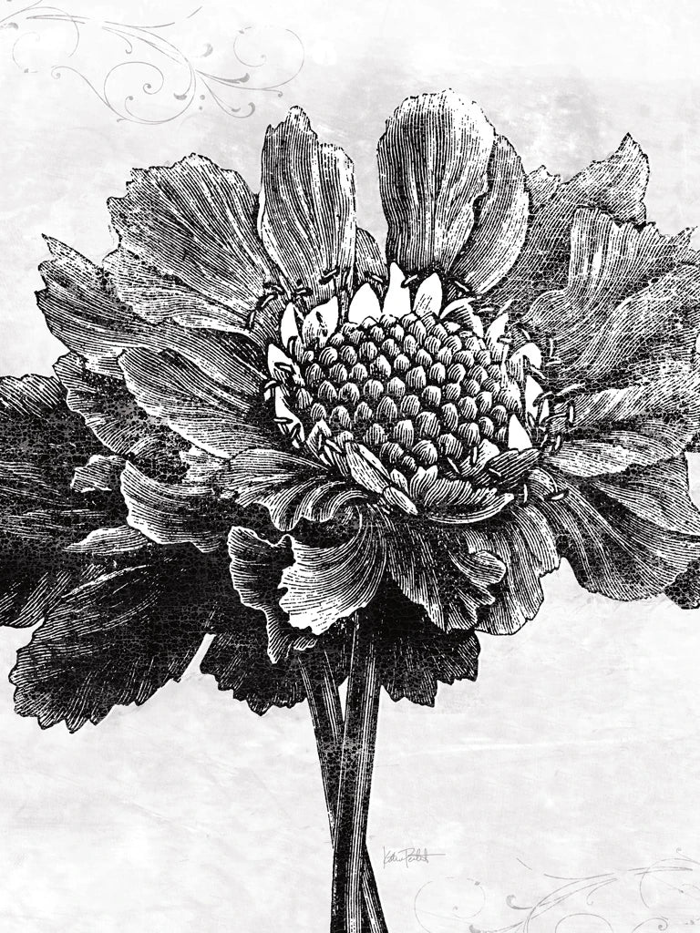 Spa Botanical I BW Crop by Katie Pertiet