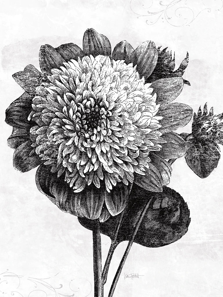Spa Botanical II BW Crop by Katie Pertiet