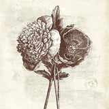 Spa Botanical III by Katie Pertiet. SKU 12339a. Archival Giclee Fine art print for wall decor.
