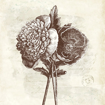 Spa Botanical III by Katie Pertiet. SKU 12339a. Archival Giclee Fine art print for wall decor.