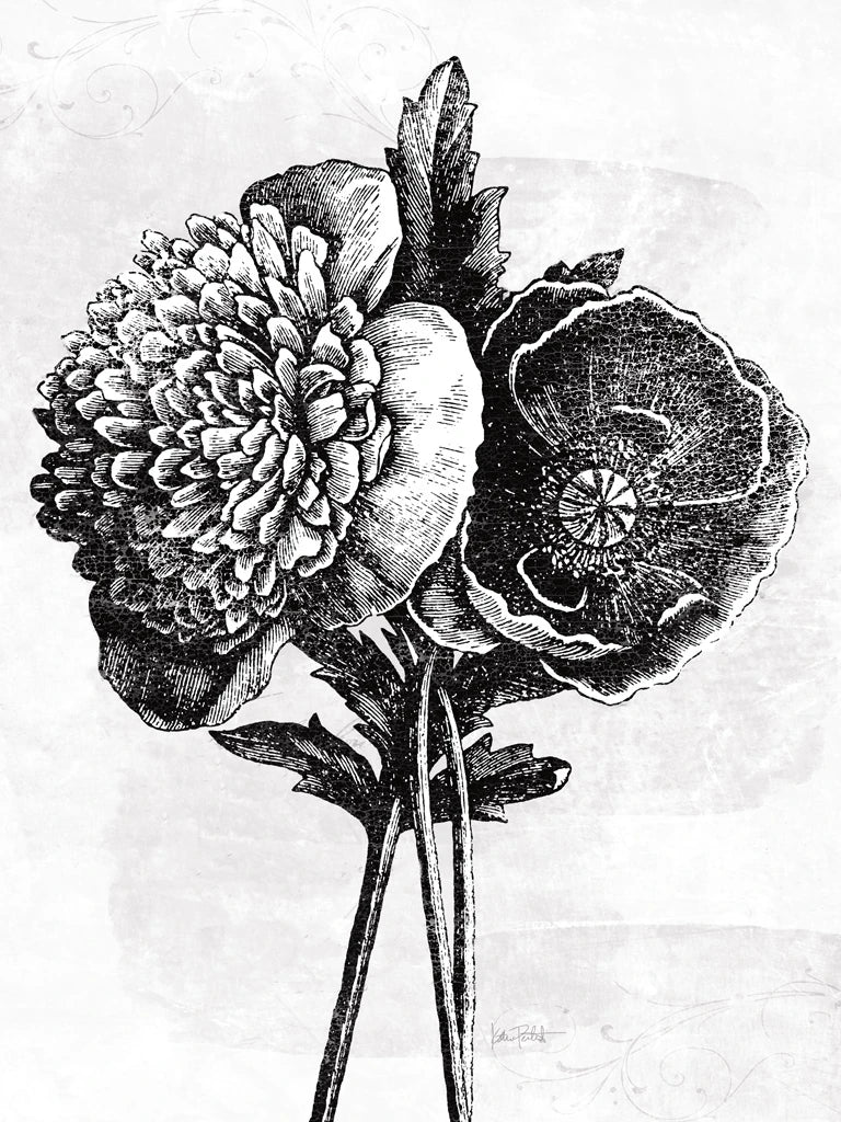 Spa Botanical III BW Crop by Katie Pertiet