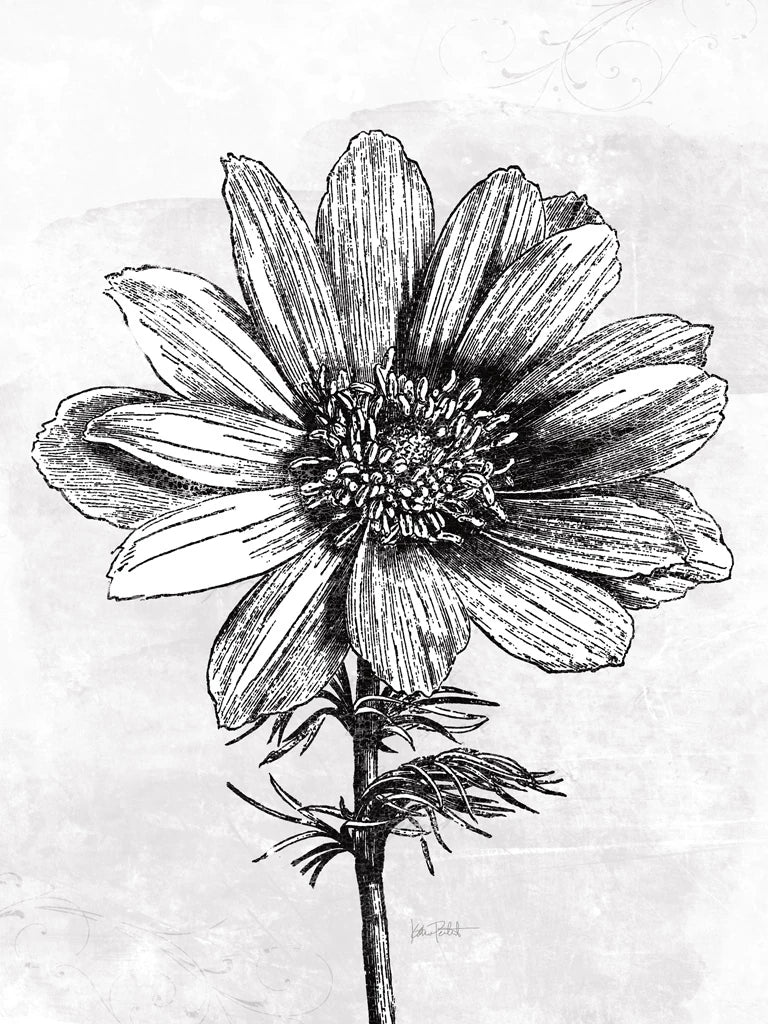 Spa Botanical IV BW Crop by Katie Pertiet