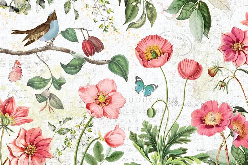 Studio Botanicals I by Katie Pertiet. SKU 49493i. Archival Giclee Fine art print for wall decor.