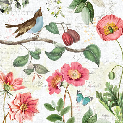 Studio Botanicals II by Katie Pertiet. SKU 49494a. Archival Giclee Fine art print for wall decor.