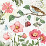 Studio Botanicals III by Katie Pertiet. SKU 49495a. Archival Giclee Fine art print for wall decor.