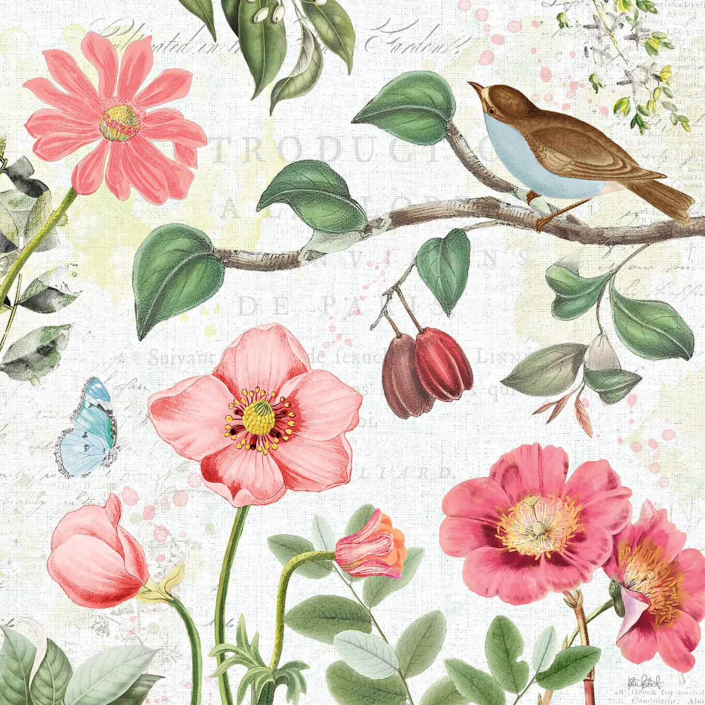 Studio Botanicals III by Katie Pertiet. SKU 49495a. Archival Giclee Fine art print for wall decor.