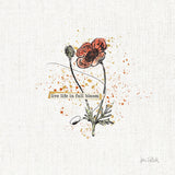 Thoughtful Blooms IV by Katie Pertiet. SKU 37583a. Archival Giclee Fine art print for wall decor.