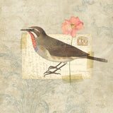 Traveler Bird II by Katie Pertiet. SKU 5973a. Archival Giclee Fine art print for wall decor.