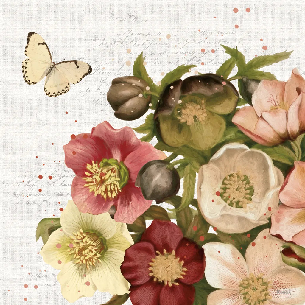 Vintage Petals II by Katie Pertiet. SKU 53935a. Archival Giclee Fine art print for wall decor.