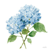 Blue Hydrangea I by Katrina Pete. SKU 96895a. Archival Giclee Fine art print for wall decor.