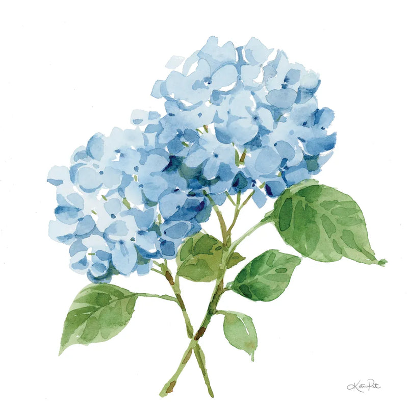 Blue Hydrangea I by Katrina Pete. SKU 96895a. Archival Giclee Fine art print for wall decor.