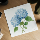 Blue Hydrangea I by Katrina Pete. Shown as a detailed flat fine art print, highlighting archival giclee quality. Available as an archival giclee rolled canvas, fine art paper, or poster print. SKU 96895a.