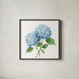 Blue Hydrangea I by Katrina Pete. Shown in a sleek black glass frame for a contemporary gallery look. Available as an archival giclee rolled canvas, fine art paper, or poster print. SKU 96895a.
