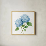 Blue Hydrangea I by Katrina Pete. Shown in a natural wood glass frame for a timeless modern aesthetic. Available as an archival giclee rolled canvas, fine art paper, or poster print. SKU 96895a.