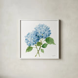 Blue Hydrangea I by Katrina Pete. Shown in a crisp white glass frame for a clean and minimalist style. Available as an archival giclee rolled canvas, fine art paper, or poster print. SKU 96895a.