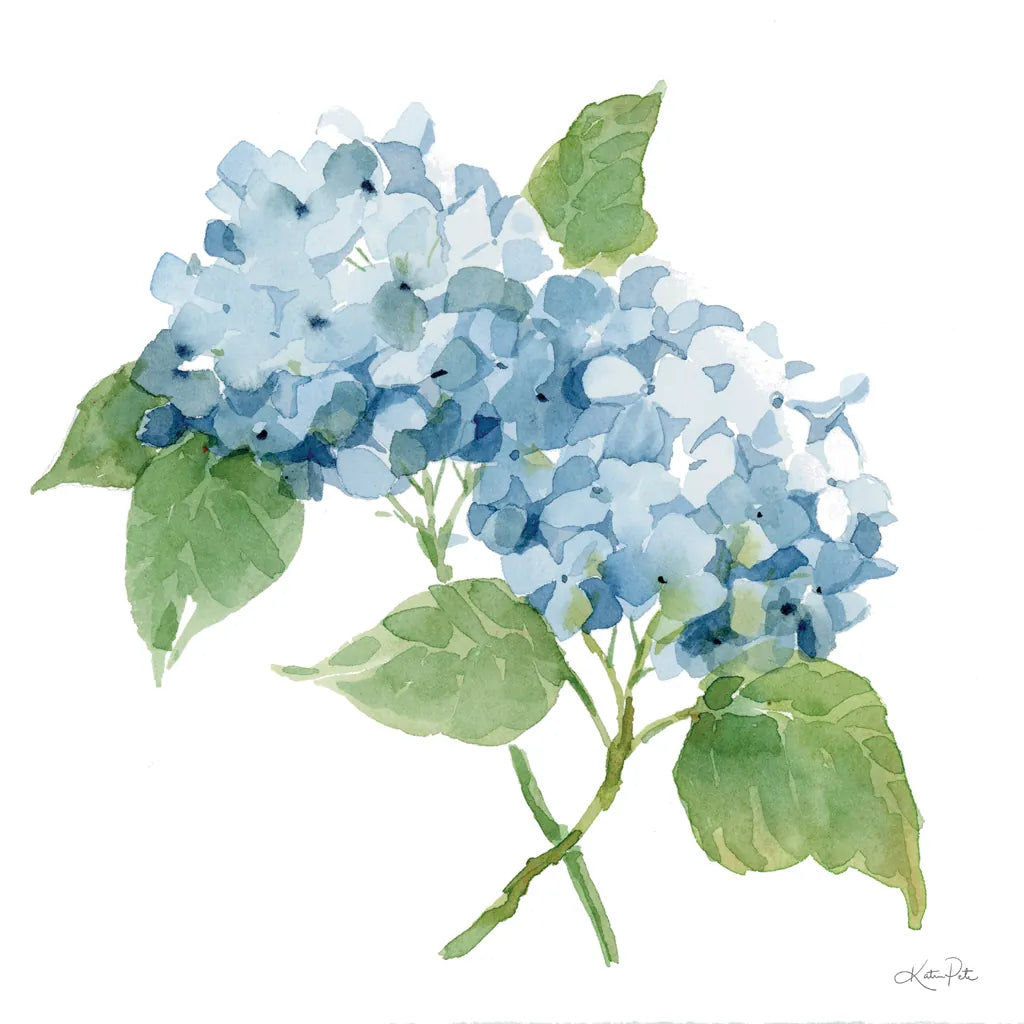 Blue Hydrangea II by Katrina Pete. SKU 96896a. Archival Giclee Fine art print for wall decor.