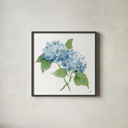 Blue Hydrangea II by Katrina Pete. Shown in a sleek black glass frame for a contemporary gallery look. Available as an archival giclee rolled canvas, fine art paper, or poster print. SKU 96896a.
