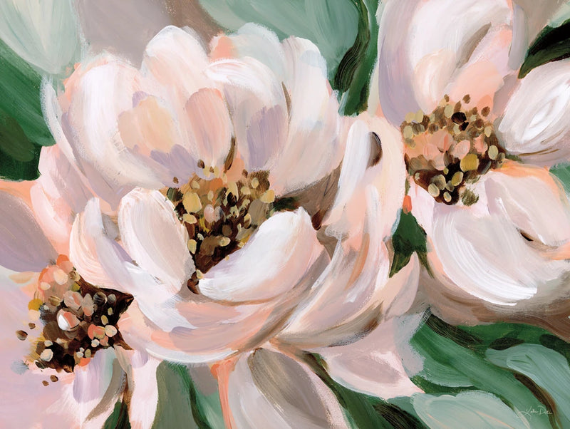 Blush Peonies by Katrina Pete