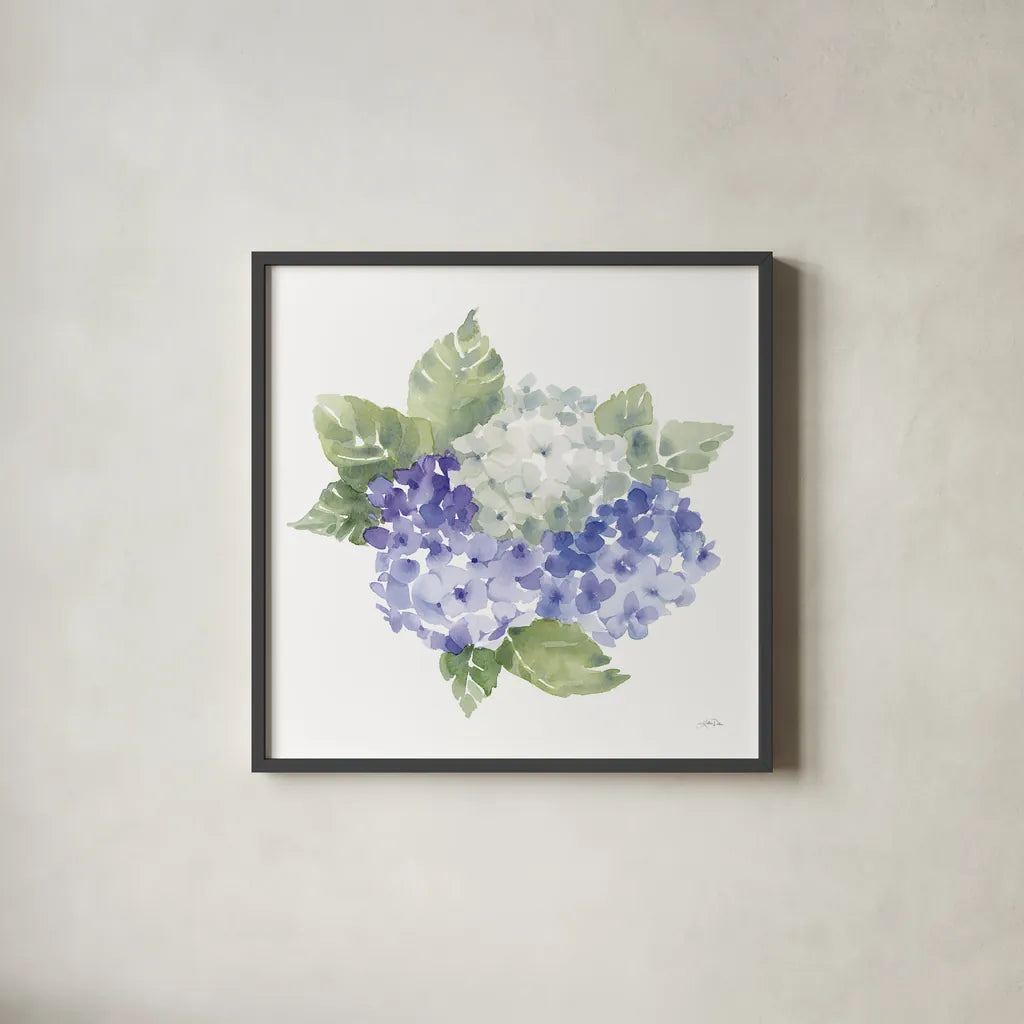 Cottage Hydrangeas I by Katrina Pete. Shown in a sleek black glass frame for a contemporary gallery look. Available as an archival giclee rolled canvas, fine art paper, or poster print. SKU 86421a.