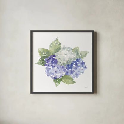 Cottage Hydrangeas I by Katrina Pete. Shown in a sleek black glass frame for a contemporary gallery look. Available as an archival giclee rolled canvas, fine art paper, or poster print. SKU 86421a.
