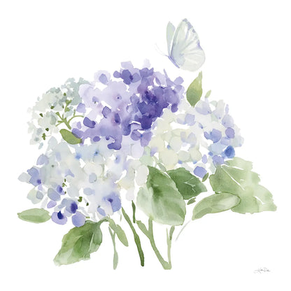 Cottage Hydrangeas II by Katrina Pete. SKU 86422a. Archival Giclee Fine art print for wall decor.