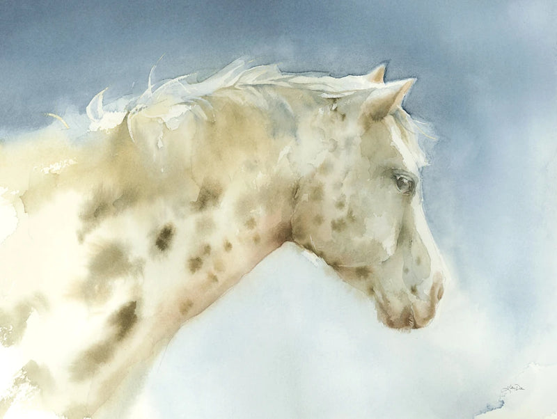 Dapple Gray Horse by Katrina Pete